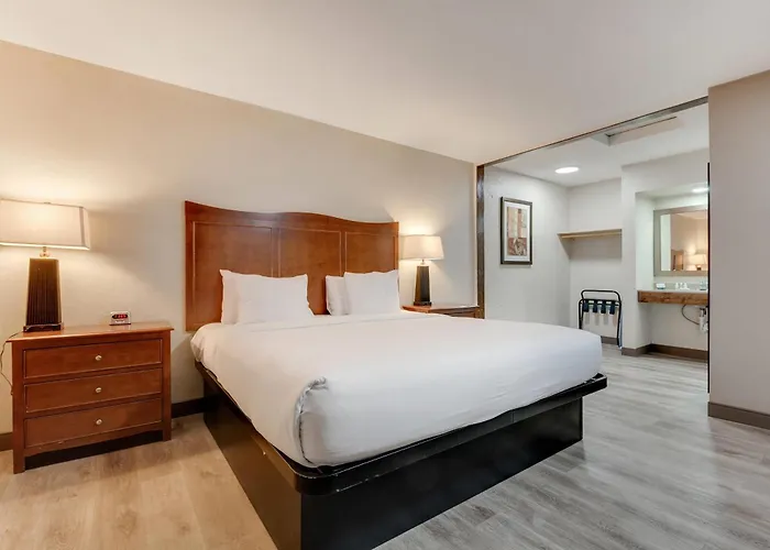 Dog friendly hotels Suburban Studios Near Mesa Verde