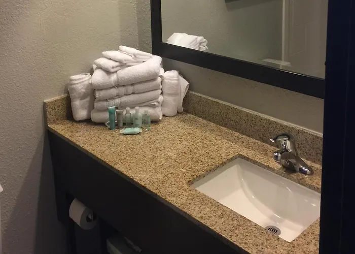 Cheap hotel: Wyndham Garden Hotel - Jacksonville