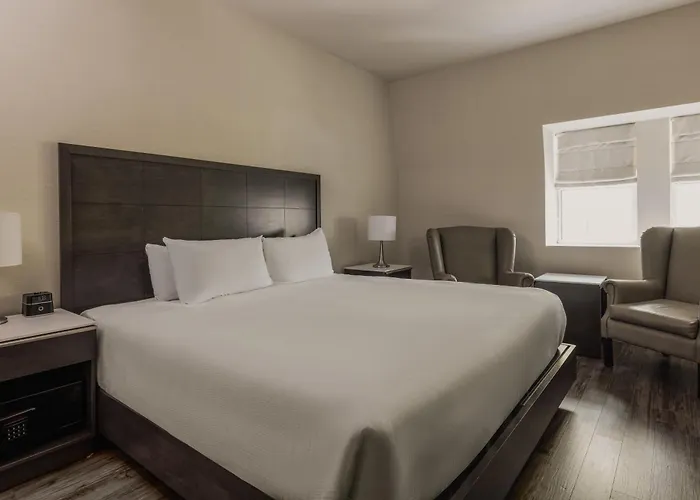 Hôtel accueillant les animaux: Hotel Chateau Laurier Québec