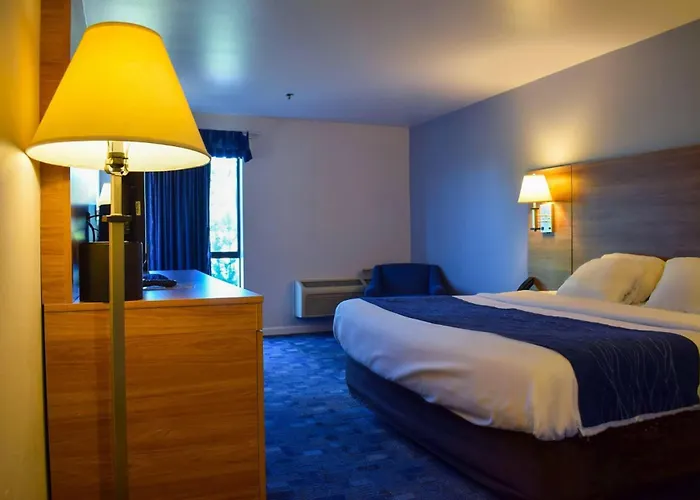 Comfort Bellingham