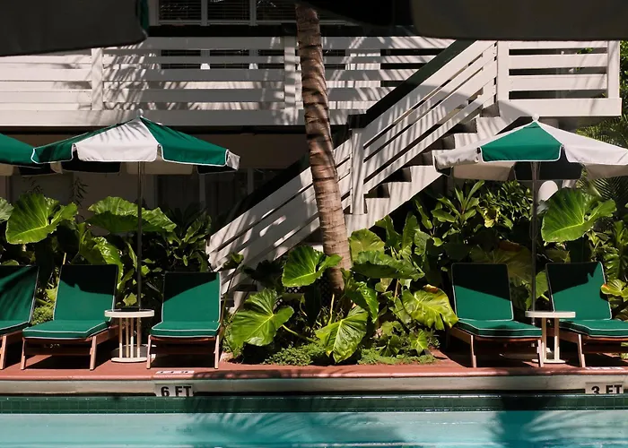 Perroquet Hotel