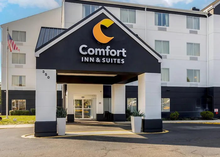 Pets Allowed Hotel Comfort Inn & Suites Mt Laurel-Philadelphia