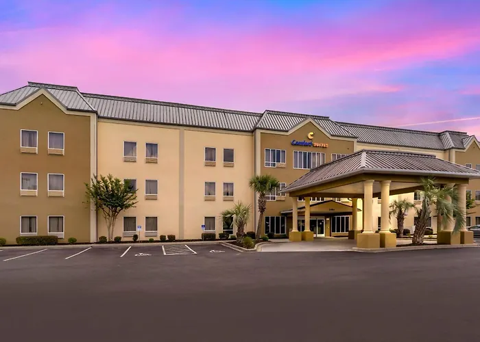 Comfort Suites At The University