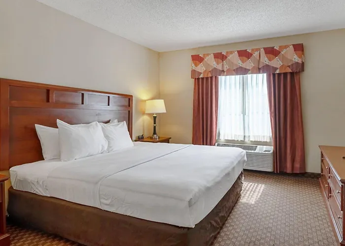 Design hotel Quality Suites San Antonio Northeast
