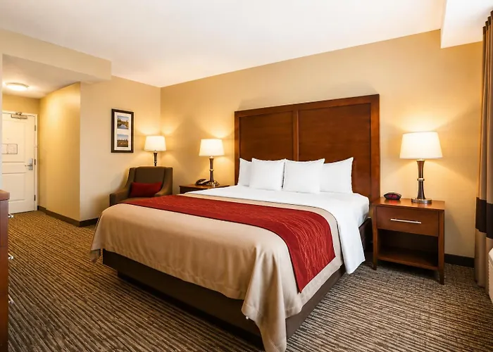 Hotels Close to Airport Comfort Pomona Near Fairplex