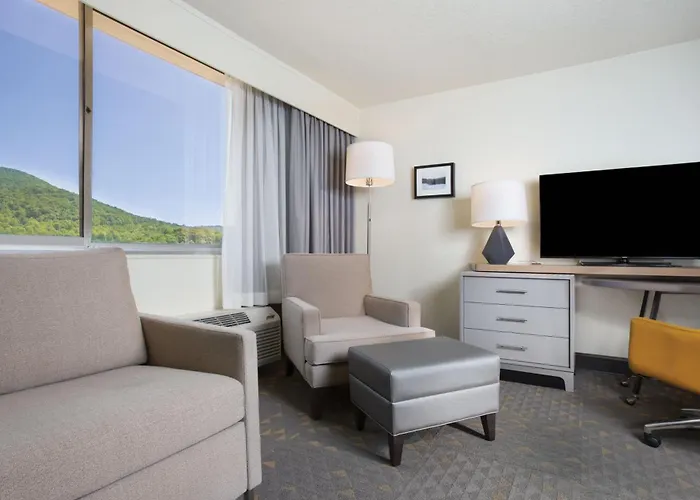 Holiday Inn East-Blue Ridge Pkwy By Ihg