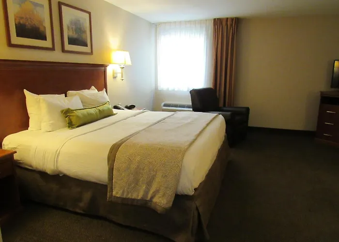 Boutique hotels Candlewood Suites Murfreesboro By Ihg