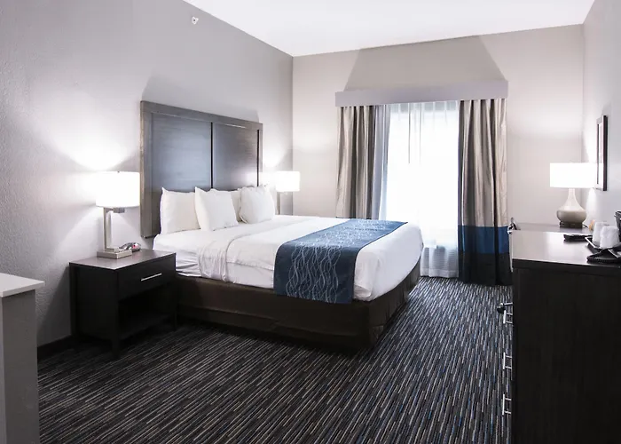 Comfort Inn & Suites Near Medical Center