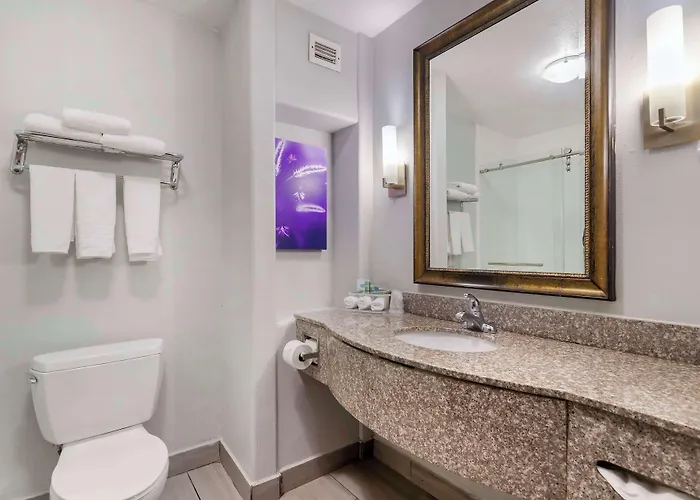 Best Western Medical Center North Inn & Suites Near Six Flags