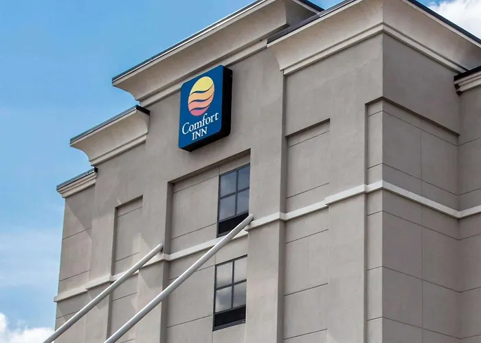 Hotel with view: Comfort Inn & Suites Lumberton Central I-95