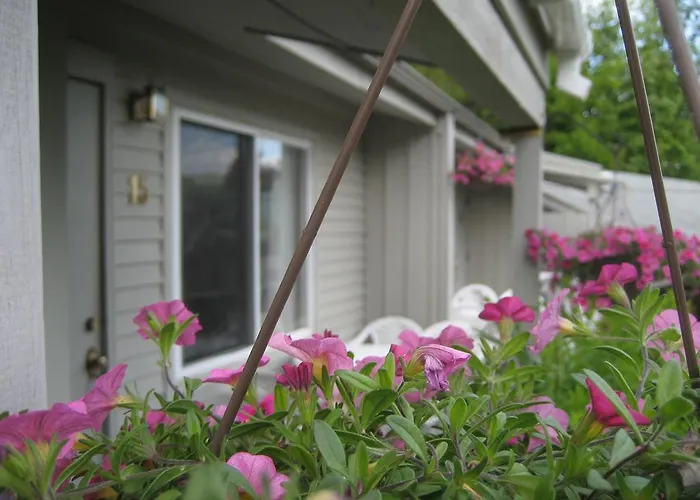Golden Sands