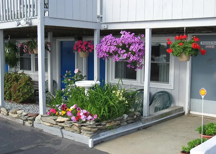 3 star hotel: Sea Whale Motel