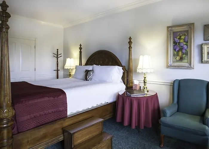 B&B only: Sea Cliff Gardens