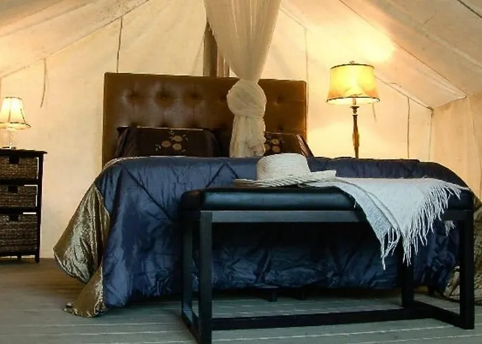 Pet Friendly hotel: Allen Ranch