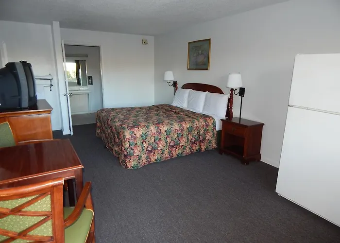 Pet Friendly hotel: Live In Lodge Gainesville