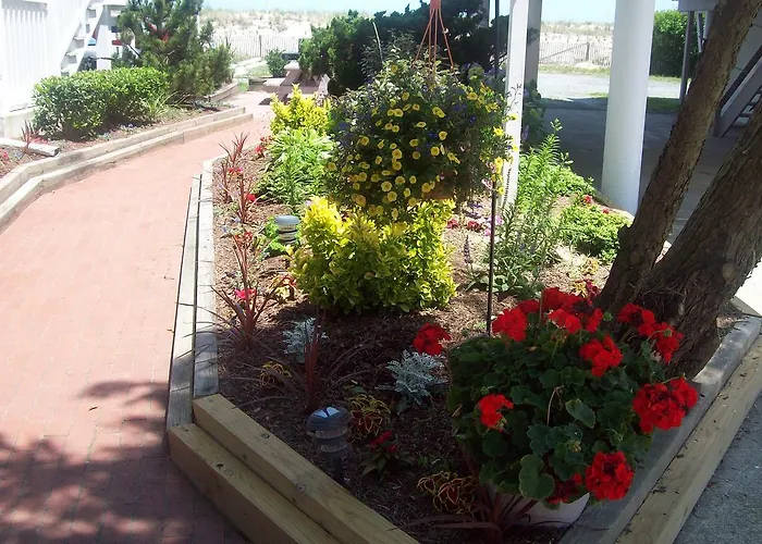Adams Ocean Front Resort
