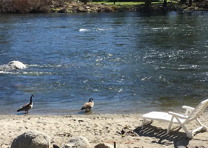 Beach Hotels River'S Edge Lodge