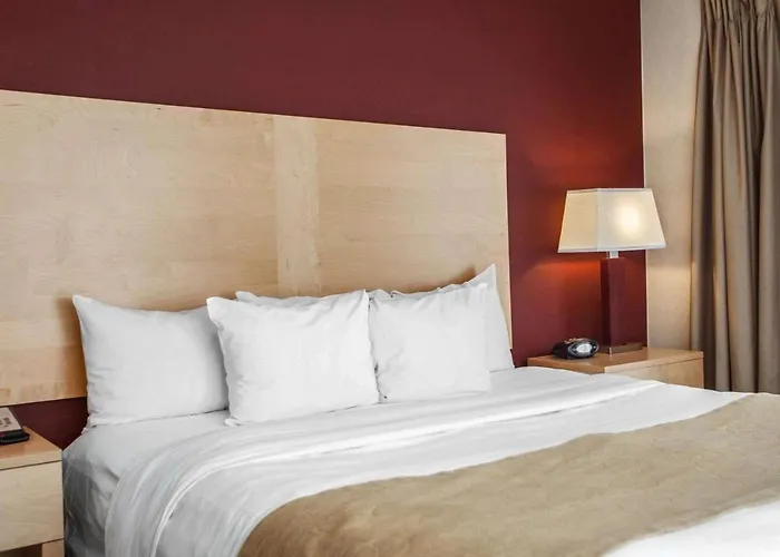 Hotel romántico: Comfort Suites Michigan Avenue
