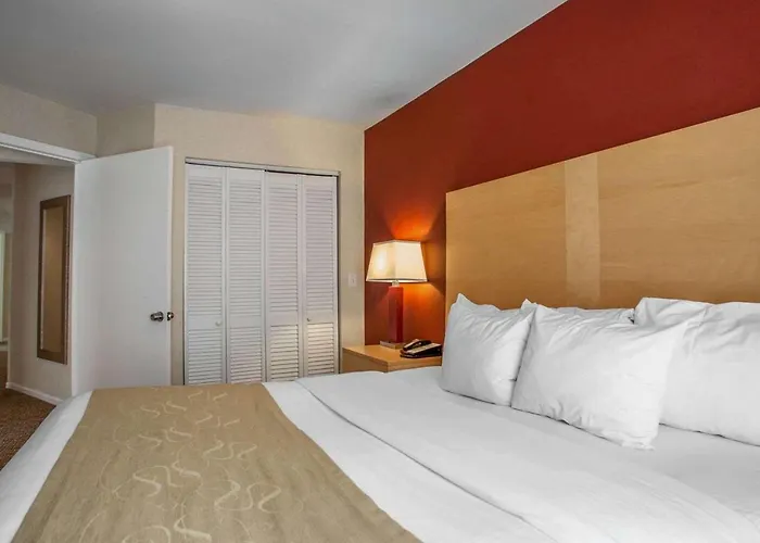 Hotel romántico: Comfort Suites Michigan Avenue