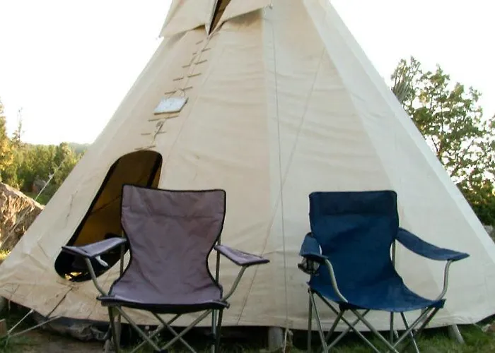 Pet Friendly hotel: Allen Ranch