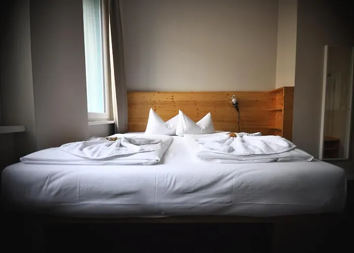 The Cat'S Pajamas Hostel