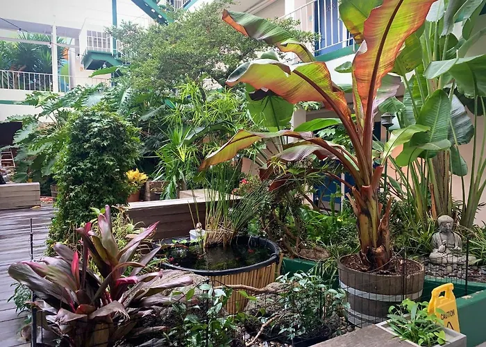 Alojamento com o café da manhã Apenas: Oasis Inn