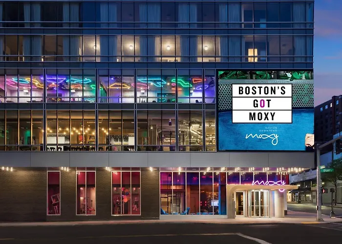 Pets Allowed Hotel Moxy Boston Downtown