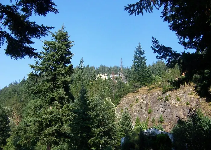 B&B only: High Hopes Bed And Breakfast