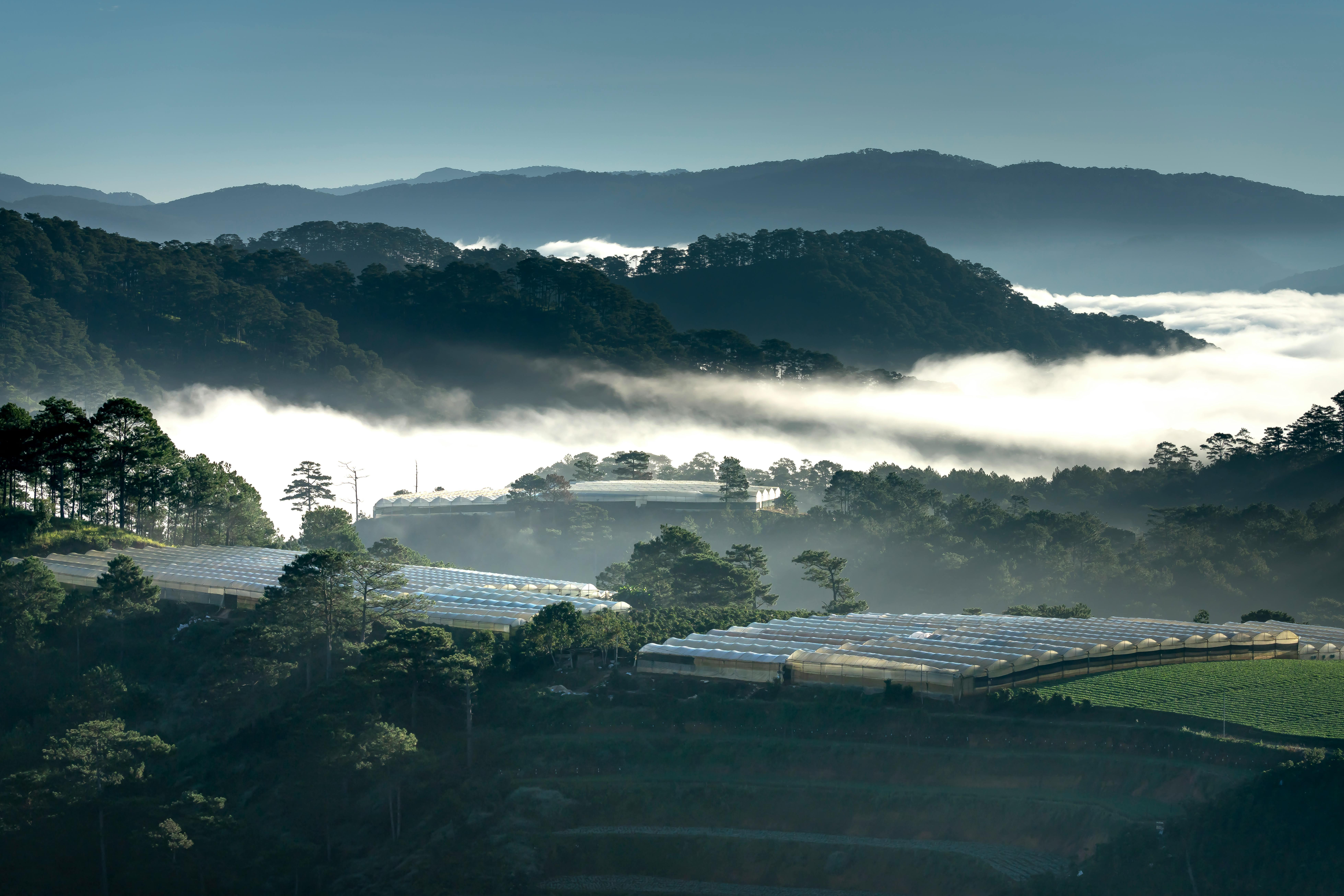 Nha Minh Homestay Da Lat